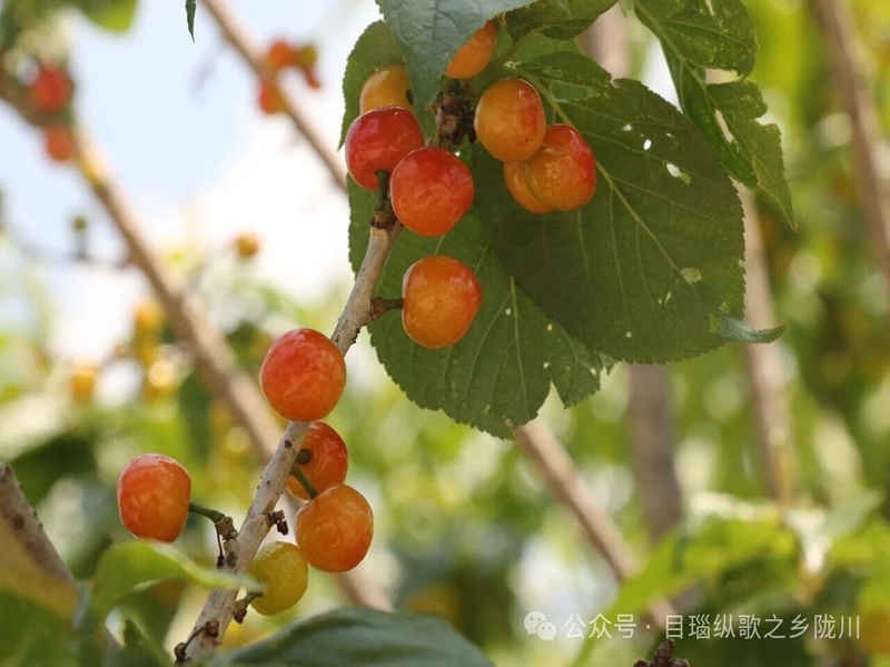 微信图片_2025-12-19_165247_241