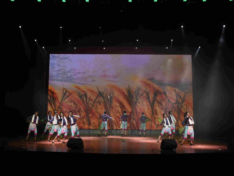 微信图片_2026-01-06_164702_382