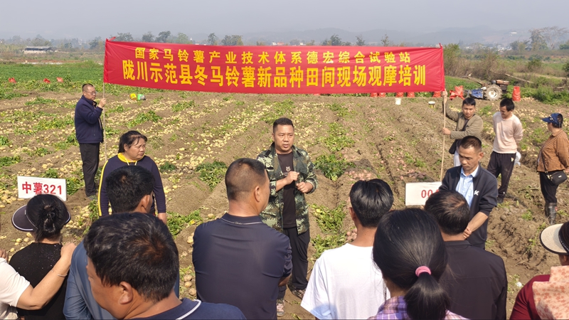 80fdeacec49ce0dea5d188689bf250dc