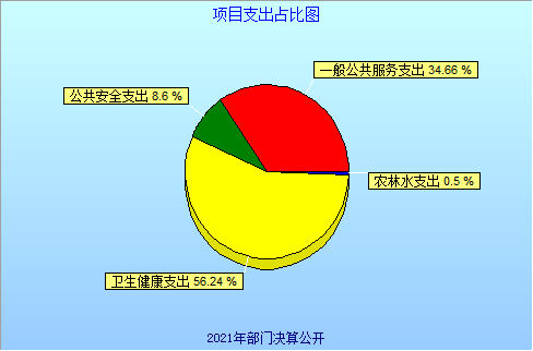 5：项目支出占比图