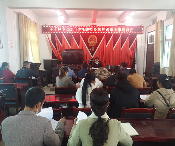 陇川县王子树乡人民政府信息公开专栏