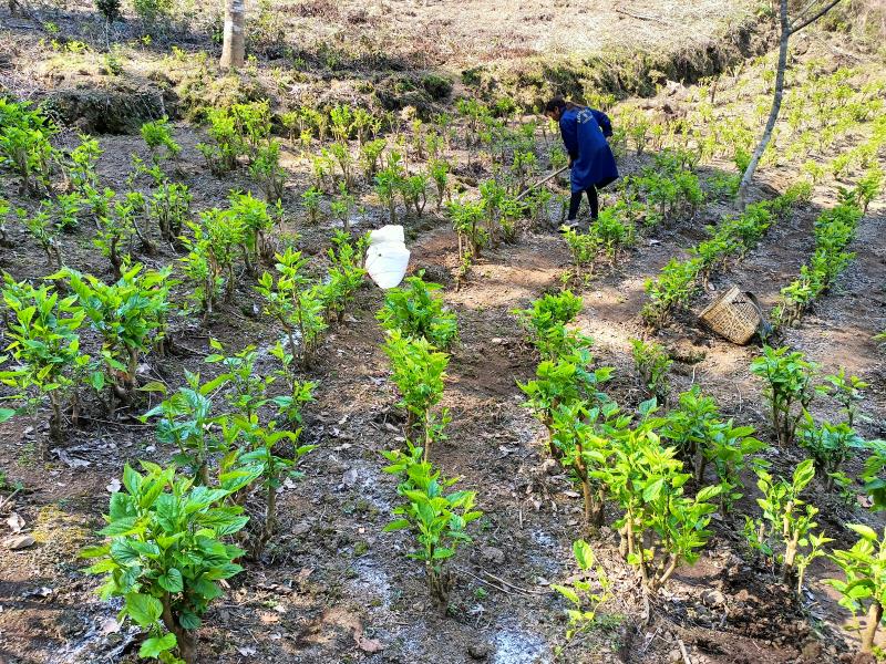 微信图片_20220401172452