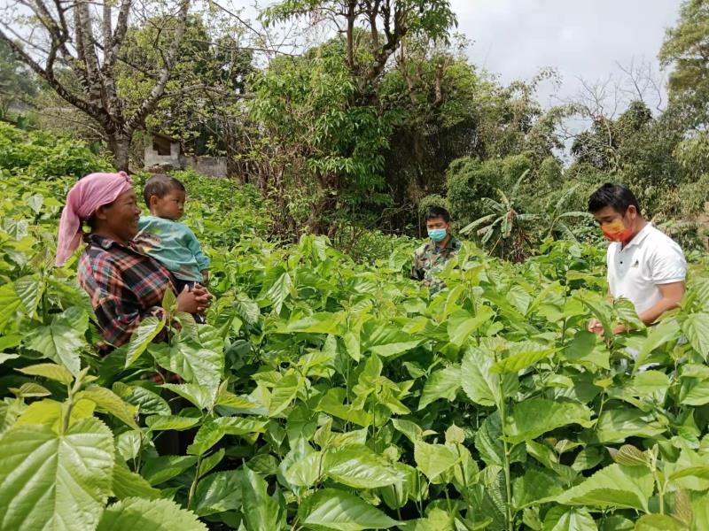 微信图片_20220401172555