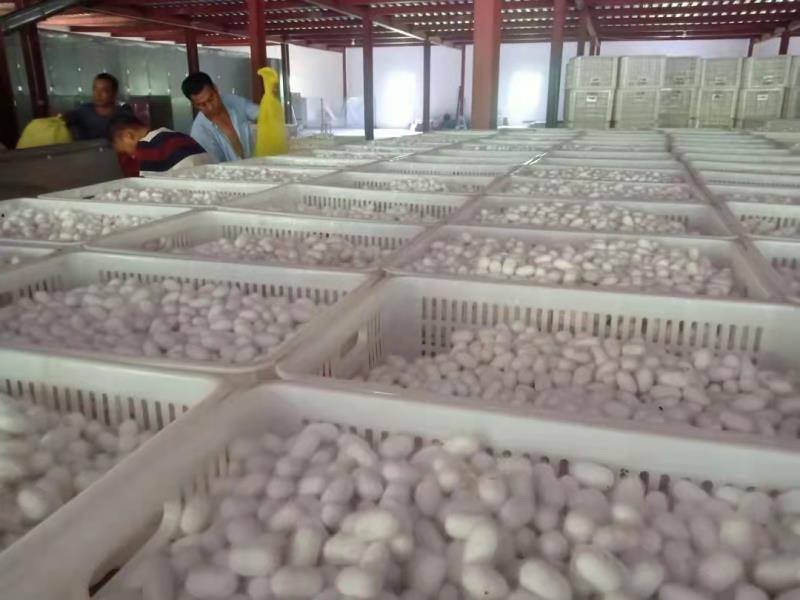 微信图片_20220402105019