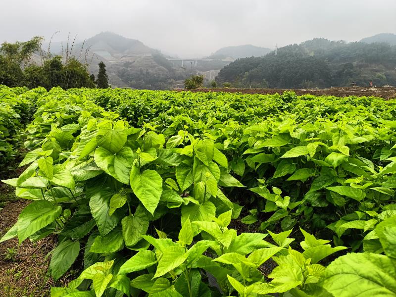 微信图片_20220401172612