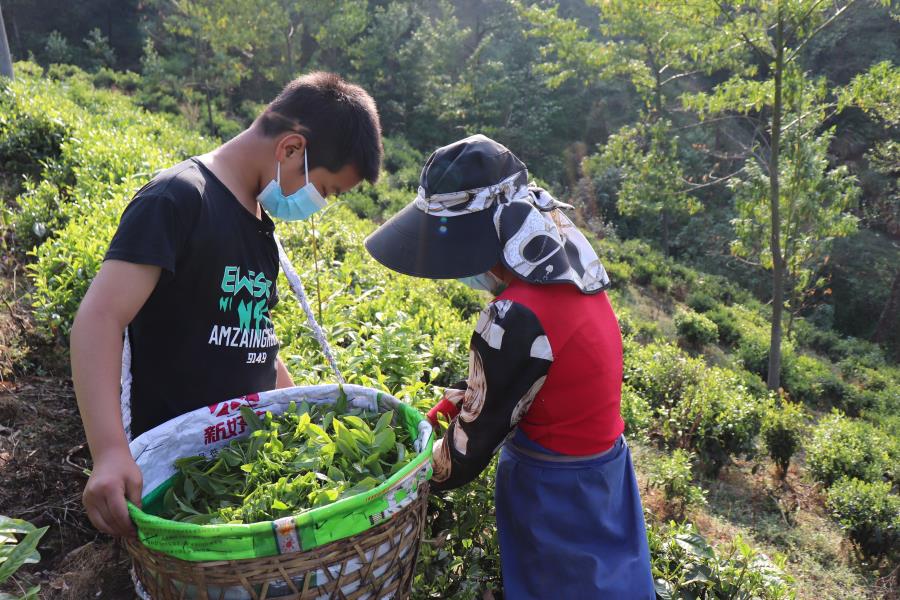 QQ图片20220406192837