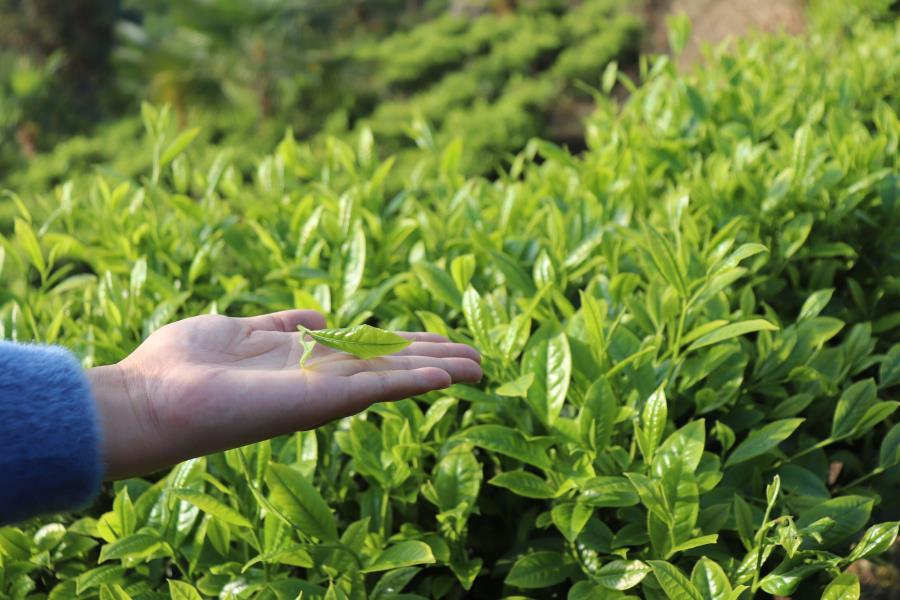 QQ图片20220406192847