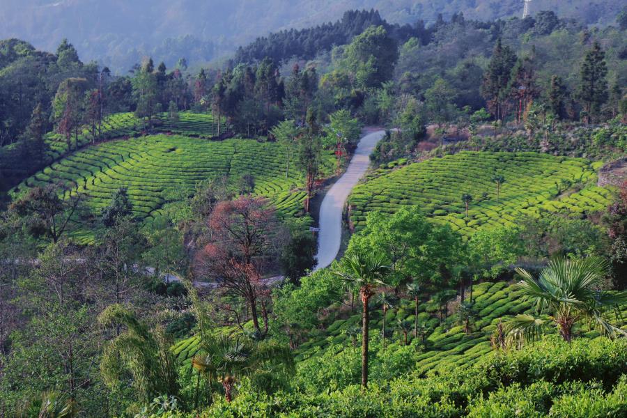 retouch_2022040619143735