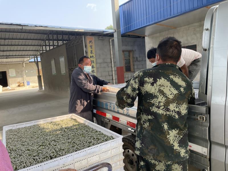 微信图片_20220411153228