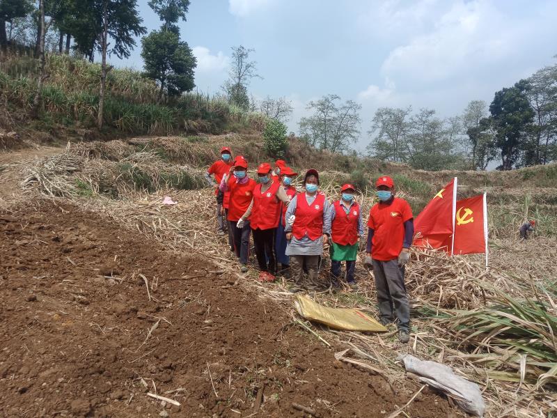 微信图片_20220411164143