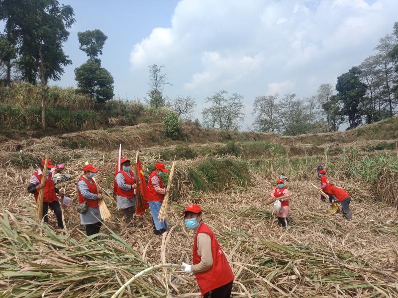 微信图片_20220411163735