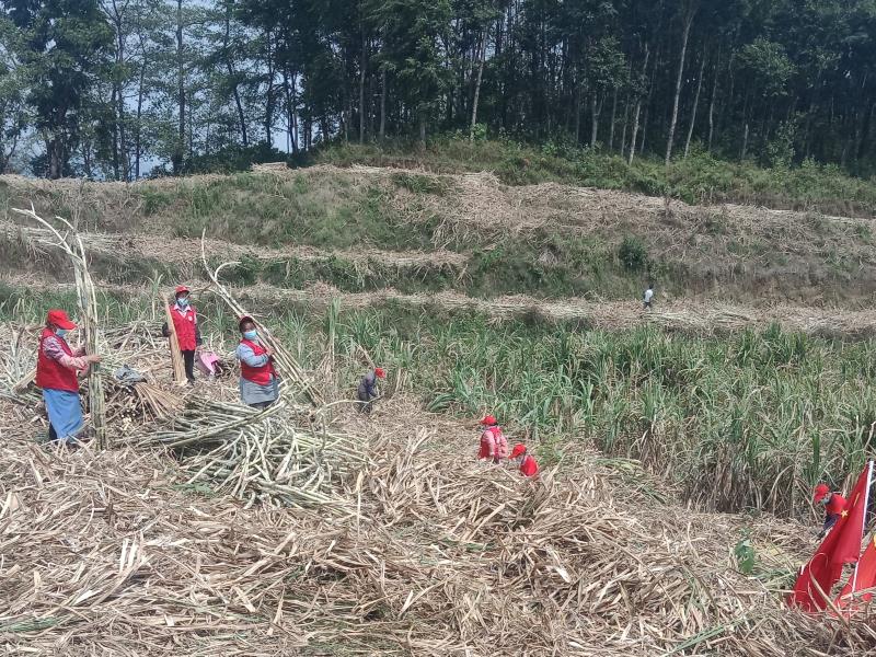 微信图片_20220411165245