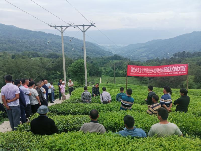 微信图片_20220827114914