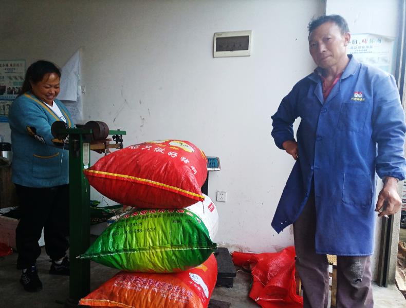 八角行情好，农民喜增收2