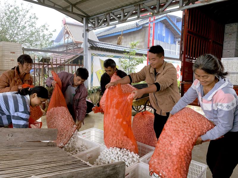 微信图片_20230519085238