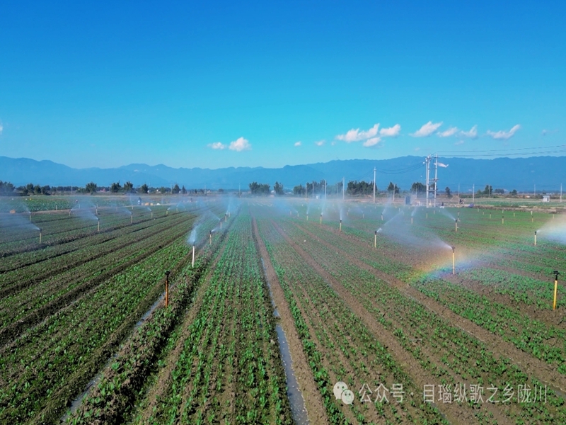 28D05IS7QS2411080939242D367CA9