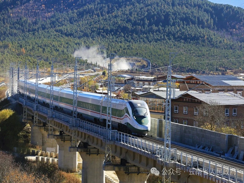 28D05IS7QS2411111035330C051A4B