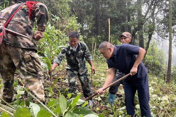 微信图片_20250702094926