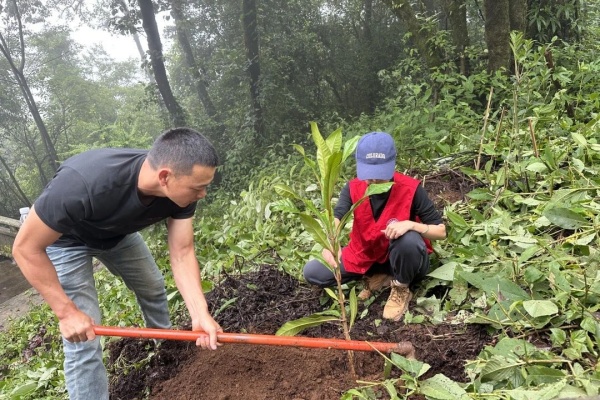 微信图片_20250702094937