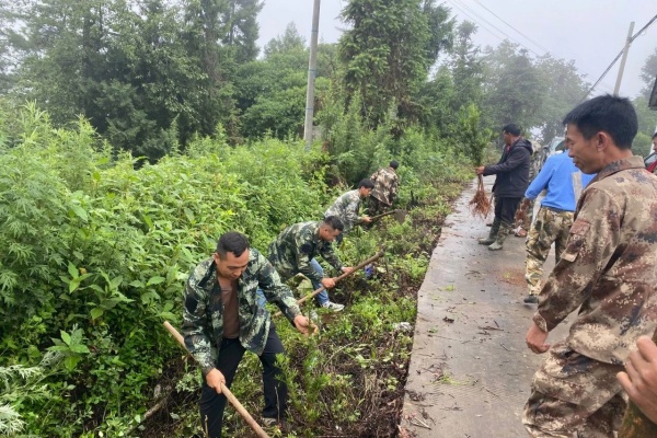 微信图片_20250702094949