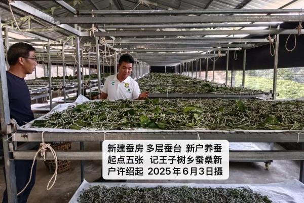 微信图片_20250702104045