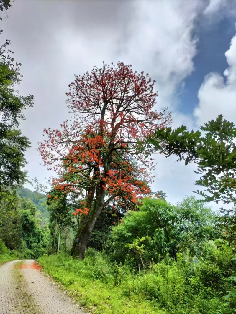 075PHQIT9W2504211703120D03A491