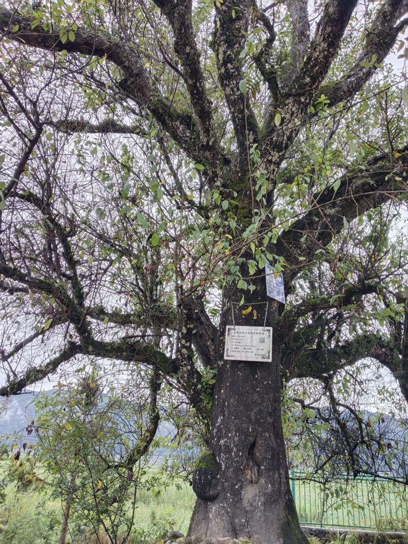 075PHQIT9W25042117034838FCDD1E