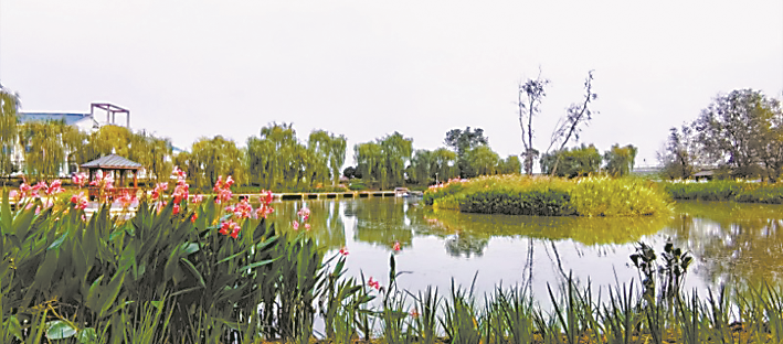 微信图片_2025-10-30_162757_642