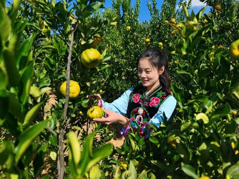 28D05IS7QS2509050942411E915674