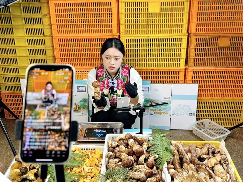 28D05IS7QS2509050942583AE31D12