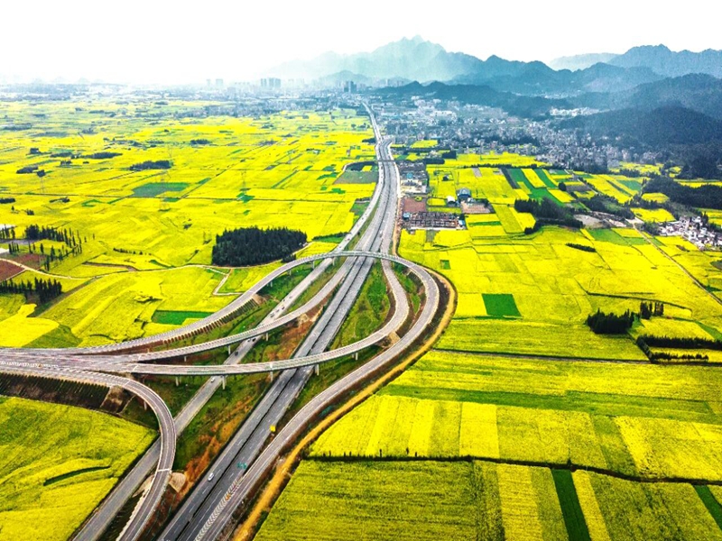 28D05IS7QS251107104901009099CC