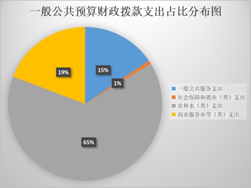 图片一般公共预算财政拨款